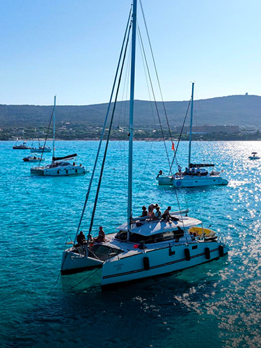la pelosa catamarano